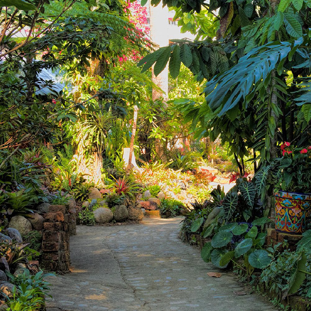 I lose myself whenver I visit the Gardens.