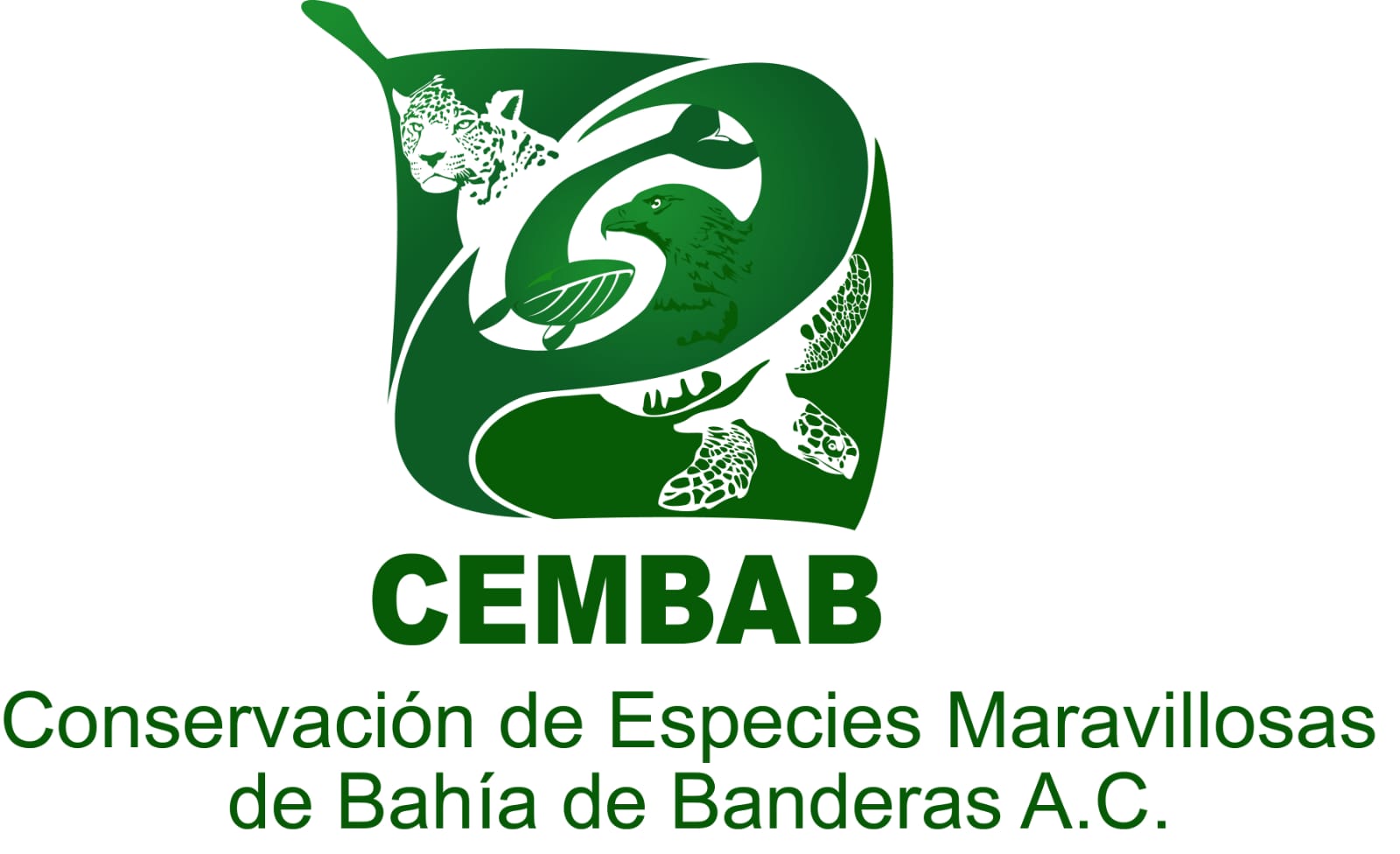 CEMBAB